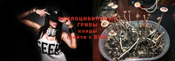 гашик Нефтегорск