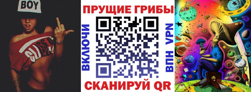 Купить где  Шали  Галлюциногенные грибы GOLDEN TEACHER 